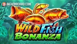 cách cá độ bóng đá trên mạng là gì Giới thiệu nhanh dành cho người mới